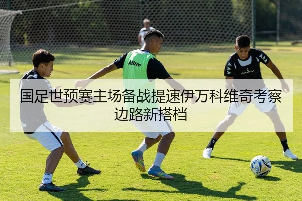 国足世预赛主场备战提速伊万科维奇考察边路新搭档